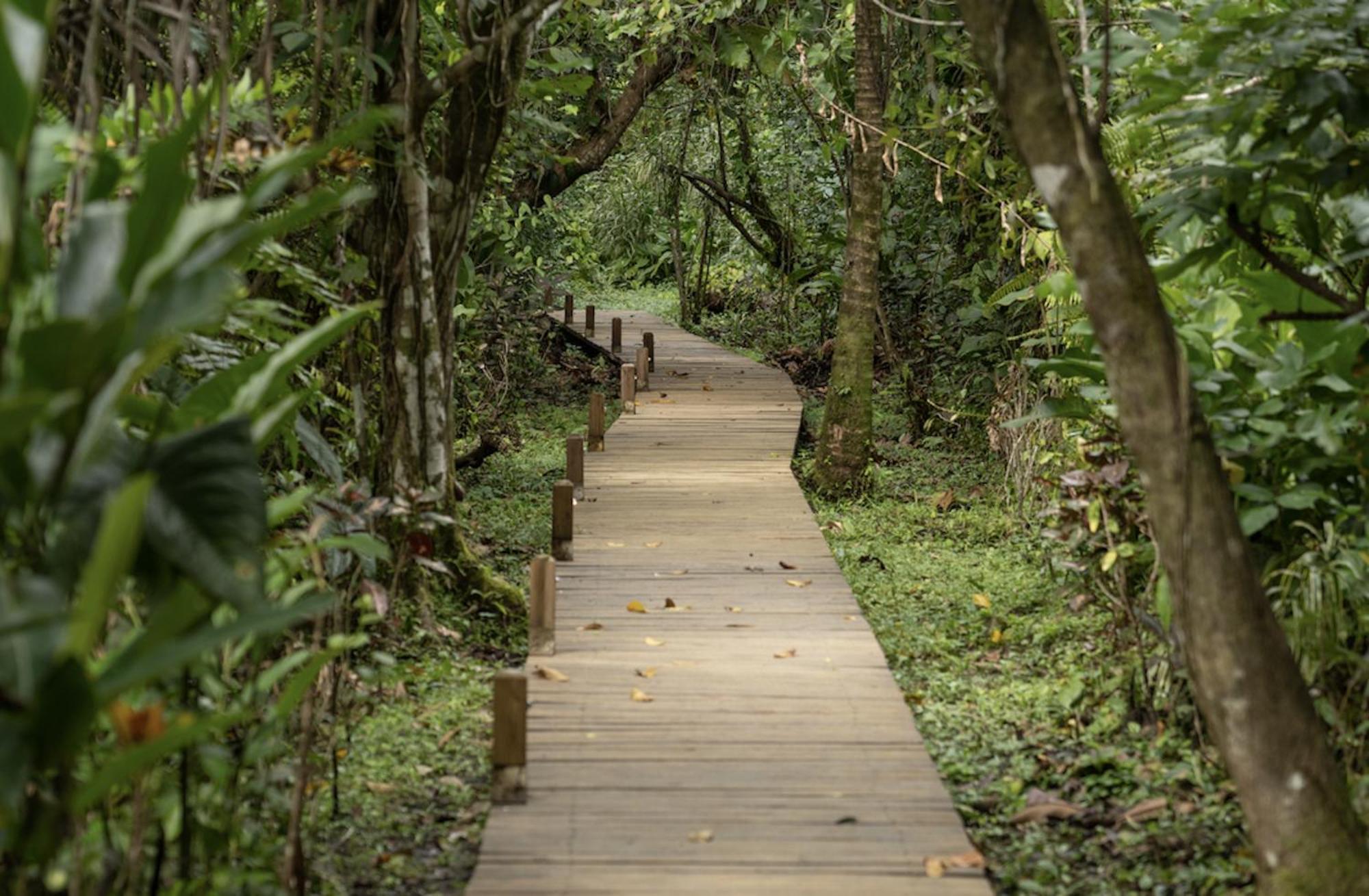 Casa Cayuco Eco-Adventure Lodge Bocas del Toro Exteriör bild
